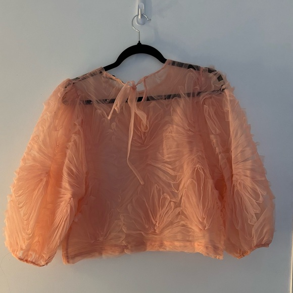 ZARA | Sheer organza cropped blouse - Picture 3 of 6
